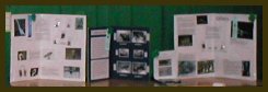 projects on display at Spring Show 2003