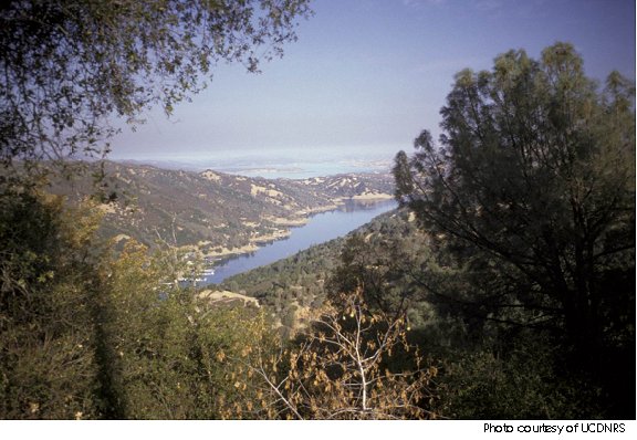 Photo of Lake Barryessa from Quail Ridge