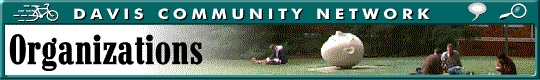TEMPLATE BANNER