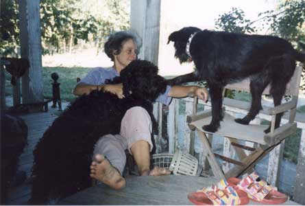 Photo of me enjoying lounging on the porch with Pixel and Chris.