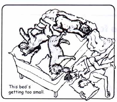 cartoon of dogs crowding humans out of bed