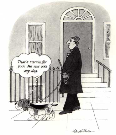 karma cartoon : he used to be MY dog