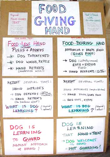 mechanisms inside various food giving hands