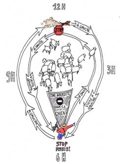 Drawing showing how to send to left and right around flock, with dog forbidden to cross between flock and shepherd.