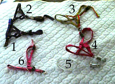 an array of dog halters