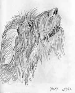 A portrait drawing of my precious puppy Keya in side view