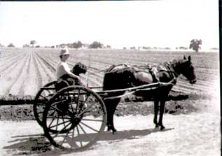 An old black and white  photo of Keya and me enjoying a horse cart ride, courtesy of Sunny.