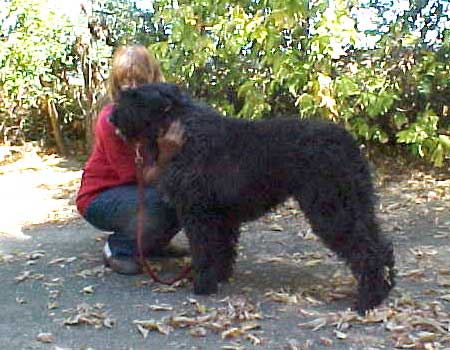 Max and Diana about to leave for home.