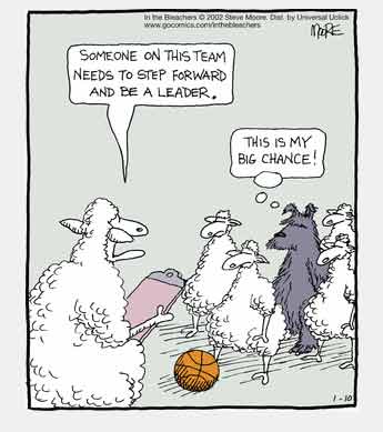 cartoon , leader of the  sheep flock