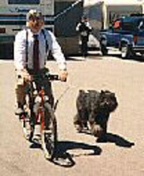 bicycle Springer with bouvier