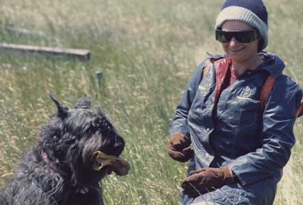 Photo of tracking dog presenting the glove to her handler.